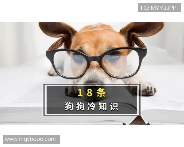 你不知道的足球转会：十大冷知识大揭秘